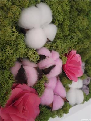 Tablou licheni naturali 'Trandafiri roz' 25 x 25 cm - imagine 6