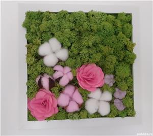 Tablou licheni naturali 'Trandafiri roz' 25 x 25 cm - imagine 5