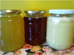 Miere de albine din zona de munte - imagine 2