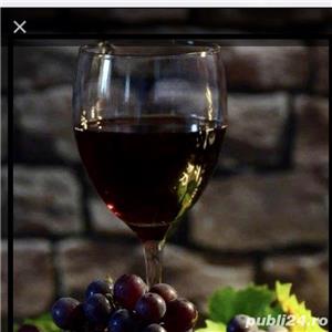 Vin natural podgorie proprie