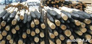 Stalpi ( araci, bulumaci) din salcam la comanda - imagine 2