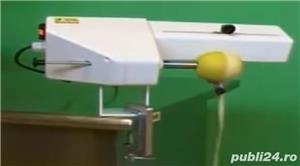 Utilaj decojit ,scos cotor si taiat in rondele-mere si pere