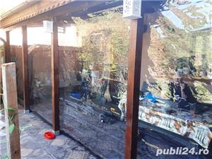 Folie anti vant Cristal cu capse si bride  - imagine 3