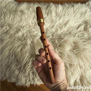 PAI (alternativa cimpoiului) - imagine 2