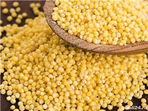 Seminte de mei la pret de producator.Proprietati: nutritiv,revitalizant,echilibrant nervos,19lei/kg