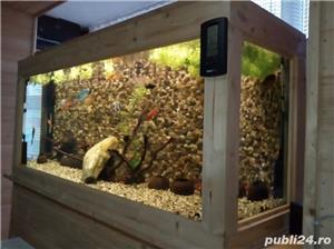 Vand acvariu pesti - imagine 3