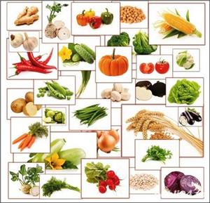 Seminte de morcov, pastarnac, mazare, varza, salata si alte legume - imagine 3