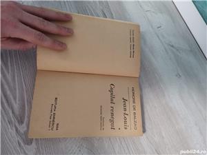 Jean-Louis. Copilul renegat de Honere De Balzac (suport cheltuiala transportului în toată țara) - imagine 2