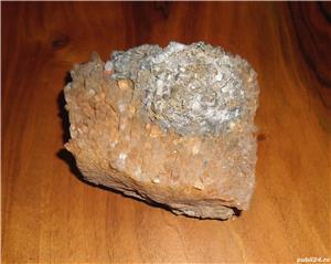 Vând lot floare de mină + cuarț șlefuit