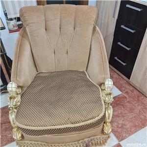 Canapea si Fotolii Vintage 1890, lemn Par African - imagine 8