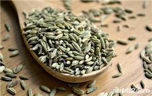 Seminte de fenicul.100%natural, fara aditivi sau conservanți.100g/5 lei.