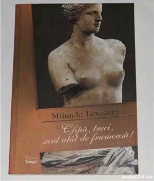 Clipa, treci, sunt atat de frumoasa!, de Mihaela Leventer