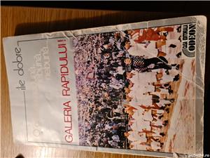 O galerie nebuna, nebuna, galeria Rapidului-Ilie Dobre
