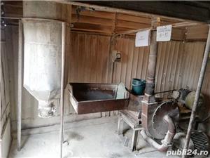 Moara cu ciocanele - imagine 5