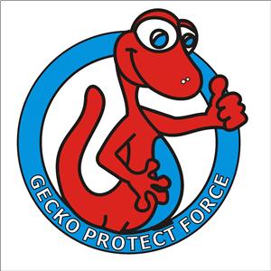 Firmă de pază și securitate - Gecko Protect Force - Servicii pază umană -