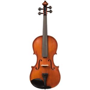 Vioara 4/4 Profesional Hora Reghin V301