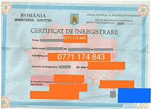 Infiintare firma Timisoara