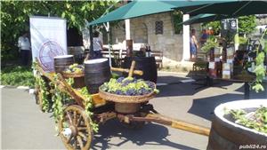 Vin de Pietroasele,Riesling,Feteasca,Merlot,Tamaioasa Romaneasca