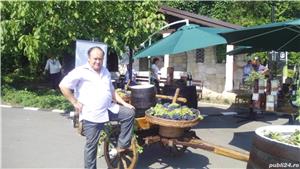 Vin de Pietroasele,Riesling,Feteasca,Merlot,Tamaioasa Romaneasca - imagine 3