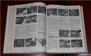 Haynes: Mercedes Benz Sprinter Diesel 1995-2006, manual reparatii auto - imagine 3