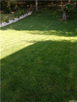 Amenajari grădini - imagine 4