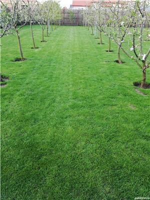 Amenajari grădini - imagine 7