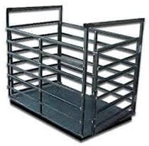 Cantare pentru animale - imagine 3