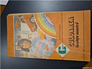 Culoarea in viata noastra-Pavel Muresan