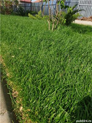 Amenajare si intretinere spatii verzi - imagine 3