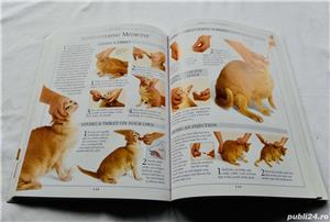 Ingrijirea pisicilor, manuale in engleza - imagine 2