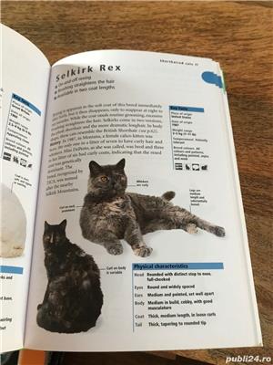 Ingrijirea pisicilor, manuale in engleza - imagine 7