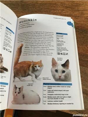 Ingrijirea pisicilor, manuale in engleza - imagine 6