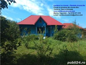 Otet de Aronia Bio - 500 ml - Cerdacul cu Aronia - judetul Gorj - imagine 5