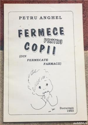 Fermece pentru copii, Petru Anghel. Tia Peltz