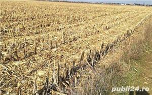 Schimb teren cu teren agricol aproape de Craidorolt lucram in arenda - imagine 3