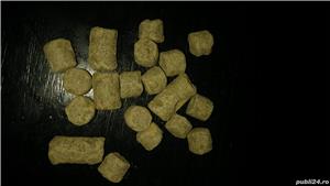 Compactonit - bentonita peletizata - imagine 2