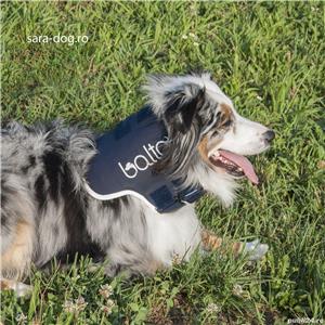 Dispozitiv profesional pentru coloana cervicala animale Balto Neck  - imagine 2