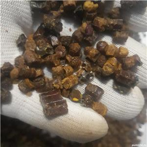 vand pastura , propolis, polen  - imagine 3