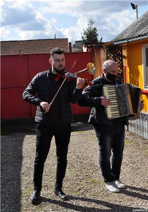 Viori cu goarnă, vioară clasică veche - imagine 7