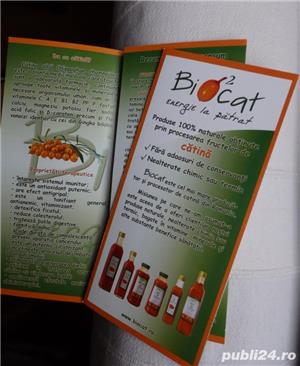 Autocolante auto, pereti, vitrine, separatoare - imagine 9