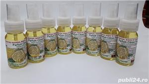 Esenta birou, casa si masina, parfum: Lamaie - imagine 3