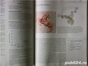 Biochimie de Berg, Tymoczko si Stryer, USA, ed. a VI-a - imagine 5