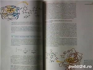 Biochimie de Berg, Tymoczko si Stryer, USA, ed. a VI-a - imagine 4