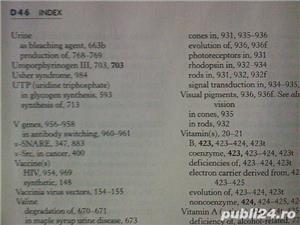 Biochimie de Berg, Tymoczko si Stryer, USA, ed. a VI-a - imagine 8