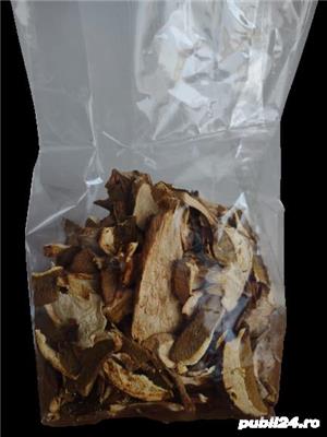 hribi uscati bio 100g 