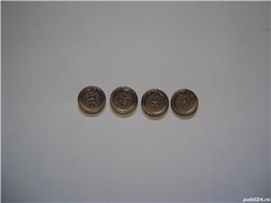 Nasturi (1) - imagine 2