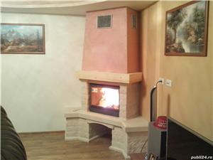 Semineu pe lemne  si Cos de fum profesional - imagine 6