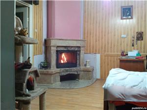 Semineu pe lemne  si Cos de fum profesional - imagine 4