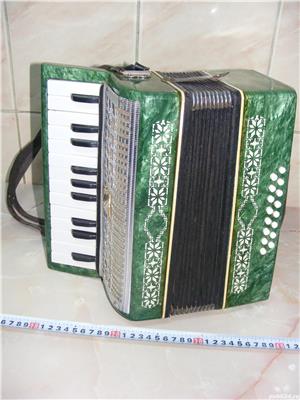 Lecții acordeon copil adult începător 