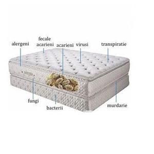 Clean&Shine Detailing (servicii curățare: tapițerii auto, canapele, polish Faruri) - imagine 3